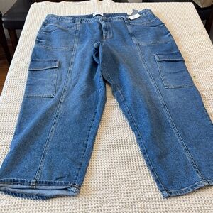 Women’s Plus Size Lane Bryant Blue Straight Leg Jeans